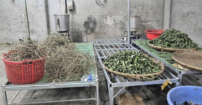 Hoàng Minh Đường: Đường dây thuốc giả thu gần 230 tỷ