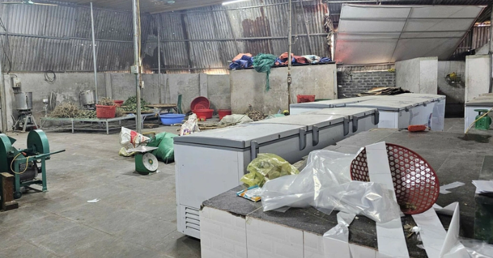 Hoàng Minh Đường: Đường dây thuốc giả thu gần 230 tỷ