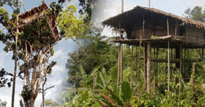 Giải mã bí ẩn về cuộc sống của bộ tộc Korowai tại Indonesia