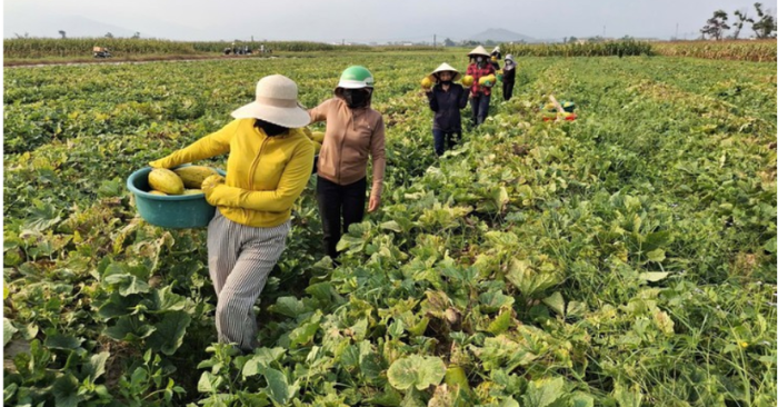 Tình làng nghĩa xóm: Giá trị tinh thần bền bỉ của người Việt