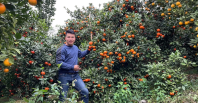 Hành trình bỏ phố về núi của cặp vợ chồng trẻ Hà Nội