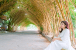 Vẻ đẹp như cổ tích của hàng tre ngà ở Hưng Yên thu hút cộng đồng mạng