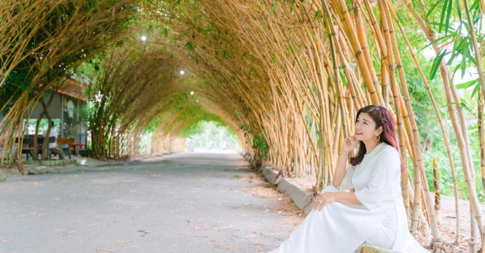 Vẻ đẹp như cổ tích của hàng tre ngà ở Hưng Yên thu hút cộng đồng mạng