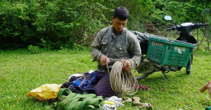 Săn mật ong rừng