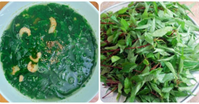 Lợi ích của rau đay đối với sức khỏe và hỗ trợ chức năng gan