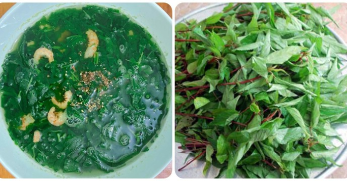 Lợi ích của rau đay đối với sức khỏe và hỗ trợ chức năng gan