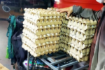 Giá trứng gia cầm lao dốc mạnh khiến người chăn nuôi điêu đứng
