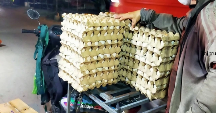 Giá trứng gia cầm lao dốc mạnh khiến người chăn nuôi điêu đứng