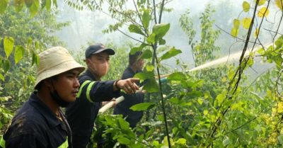Nhiệt độ vượt 40 độ C: Cảnh báo cháy rừng và áp lực lưới điện toàn quốc