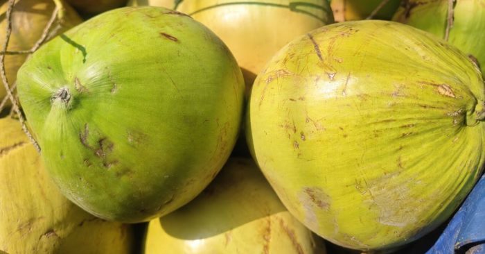 Uống nhiều nước dừa để giải nhiệt có thực sự tốt? Chuyên gia chỉ ra lợi ích, rủi ro và cách sử dụng an toàn trong mùa nắng nóng.