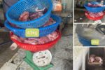 Thanh hóa khởi tố ba người bán thịt lợn nhiễm dịch tả châu phi