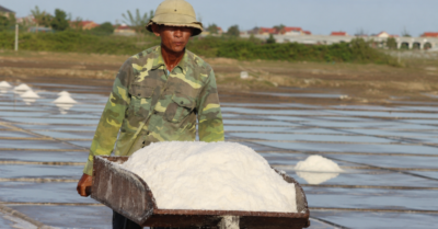 Nghề làm muối Phú Lộc: Nhọc nhằn mưu sinh giữa “chảo lửa” Quảng Trị
