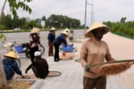 Vỉa hè Nam Sầm Sơn trắng moi giữa mùa biển thuận
