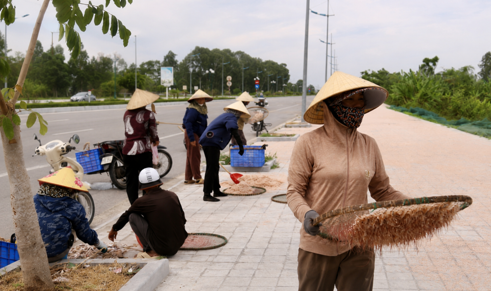 Thanh Hóa vào mùa lộc biển, người dân tận dụng vỉa hè rộng để phơi moi, tạo nên khung cảnh lao động đặc trưng vùng ven biển.