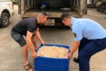 Bắt xe chở 480kg lòng lợn phân hủy không rõ nguồn gốc tại Hưng Yên