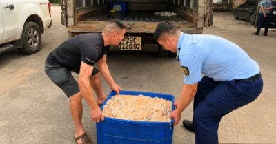 Bắt xe chở 480kg lòng lợn phân hủy không rõ nguồn gốc tại Hưng Yên