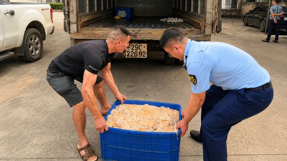 Phát hiện 480kg lòng lợn bốc mùi hôi thối trên đường đi tiêu thụ, lực lượng chức năng thu giữ và xử lý theo quy định. Đọc chi tiết vụ việc.