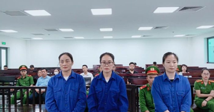 Ba bị cáo lĩnh án vì vận chuyển trái phép vàng qua biên giới sau khi tham gia đường dây do người thân rủ rê. Xem diễn biến vụ án.
