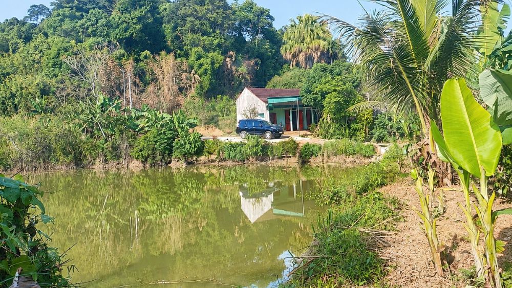 Cha nghèo nuôi 7 con gái thành cử nhân từ căn nhà đơn sơ giữa rừng, câu chuyện vượt khó đầy cảm hứng khiến nhiều người xúc động.