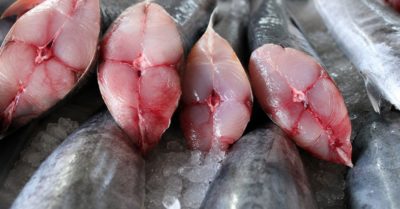 Cá kiếm, cá mập nằm trong nhóm chứa thủy ngân cao nhất cần cân nhắc