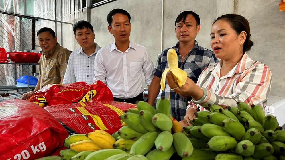Nuôi chồn hương mang lại nguồn thu tiền tỷ cho nhiều hộ dân. Khám phá mô hình chăn nuôi hiệu quả và sức hút của nghề đặc biệt này.