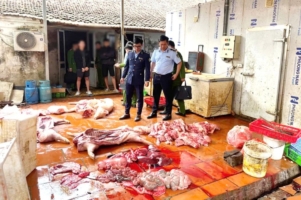 Phát hiện gần 1 tấn thịt lợn nhiễm dịch tả lợn châu Phi tại Hưng Yên, lực lượng chức năng kiểm tra và xử lý cơ sở vi phạm.
