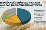 Gạo Việt tăng tốc tại Iraq, Trung Quốc tăng mua gấp đôi