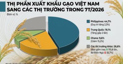 Gạo Việt tăng tốc tại Iraq, Trung Quốc tăng mua gấp đôi