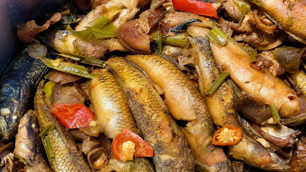 Quả chay có vị chua đặc trưng, giàu vitamin, khoáng chất và chất xơ. Tìm hiểu đặc điểm, công dụng và cách sử dụng loại quả này.