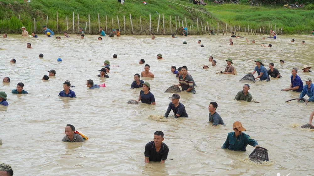 Hàng trăm người lội xuống Bàu Cùn, Nghệ An vung nơm bắt cá cầu may trong lễ hội, tạo nên cảnh tượng náo nhiệt thu hút đông đảo du khách.