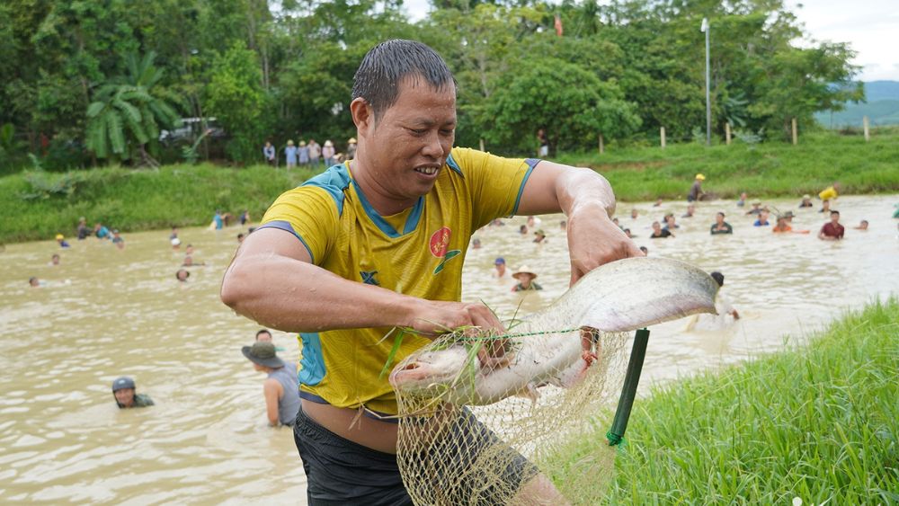 Hàng trăm người lội bùn, dùng nơm bắt cá cầu may tại lễ hội ở Nghệ An, tạo nên cảnh tượng náo nhiệt, thu hút đông đảo du khách.
