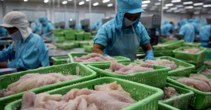 Trung Quốc chi 20,26 tỷ USD nhập khẩu thủy sản năm 2025, trong đó Việt Nam nổi lên với tôm hùm và cá tra.