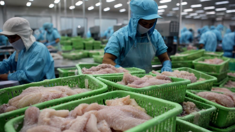 Trung Quốc chi 20,26 tỷ USD nhập khẩu thủy sản năm 2025, trong đó Việt Nam nổi lên với tôm hùm và cá tra.