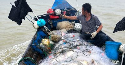 Sau những ngày mưa, thuyền trở về đầy cá chim vàng