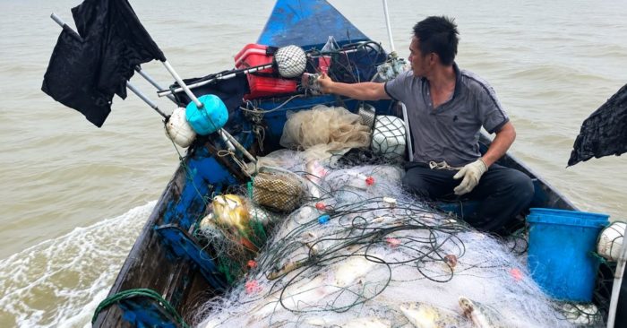 Ngư dân xã Yên Hòa, Hà Tĩnh trúng đậm cá chim vàng sau chuyến ra khơi, thu nhập 10-20 triệu đồng. Xem chi tiết.