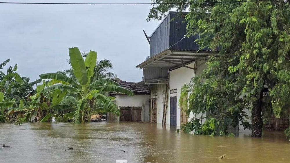 Ngập lụt Thanh Hóa khiến 301 hộ dân ở xã Thành Vinh ngập sâu, có nơi hơn 1,2m. Chính quyền khẩn trương di dời người dân đến nơi an toàn.