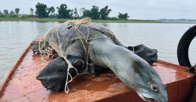 Một dấu hỏi còn lại ở hồ Đồng Mô