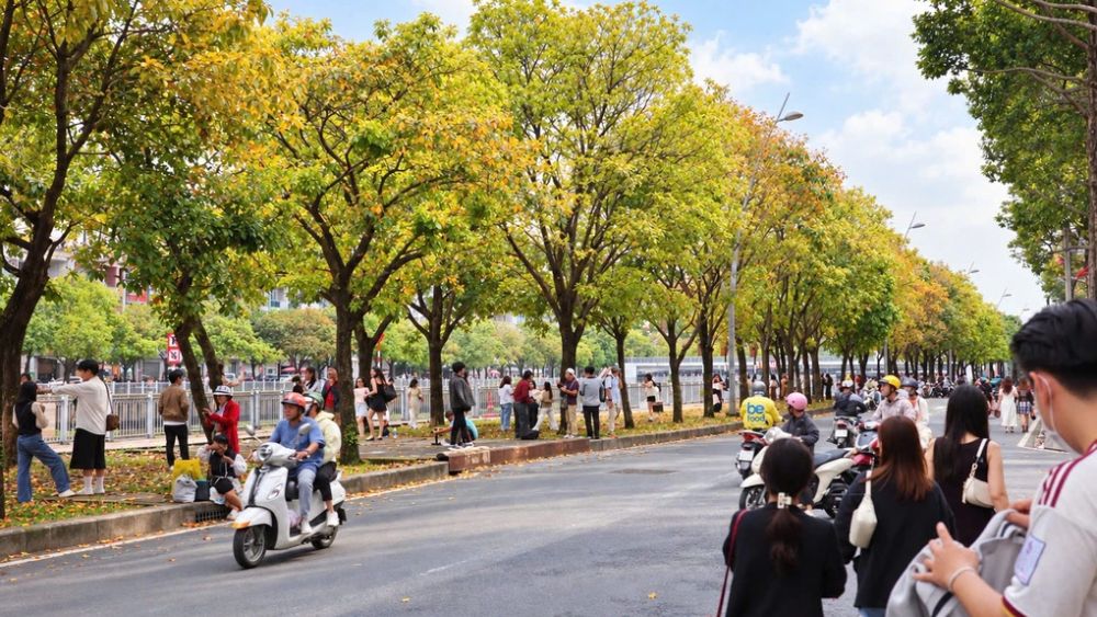 Quán cà phê ở TP HCM đông khách nhờ hàng lộc vừng thay lá trên đường Trường Sa, tạo khung cảnh được ví như “con đường mùa thu”.