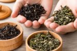 Thói quen uống trà mỗi ngày và những thay đổi trong cơ thể