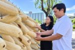 Vợ chồng ở Đà Nẵng đưa xơ mướp già ra thị trường quốc tế