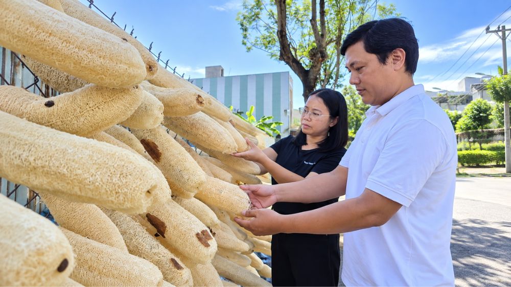 Vợ chồng anh Vũ biến xơ mướp già thành hơn 20 sản phẩm gia dụng, từng bước đưa xơ mướp xuất khẩu sang nhiều thị trường.