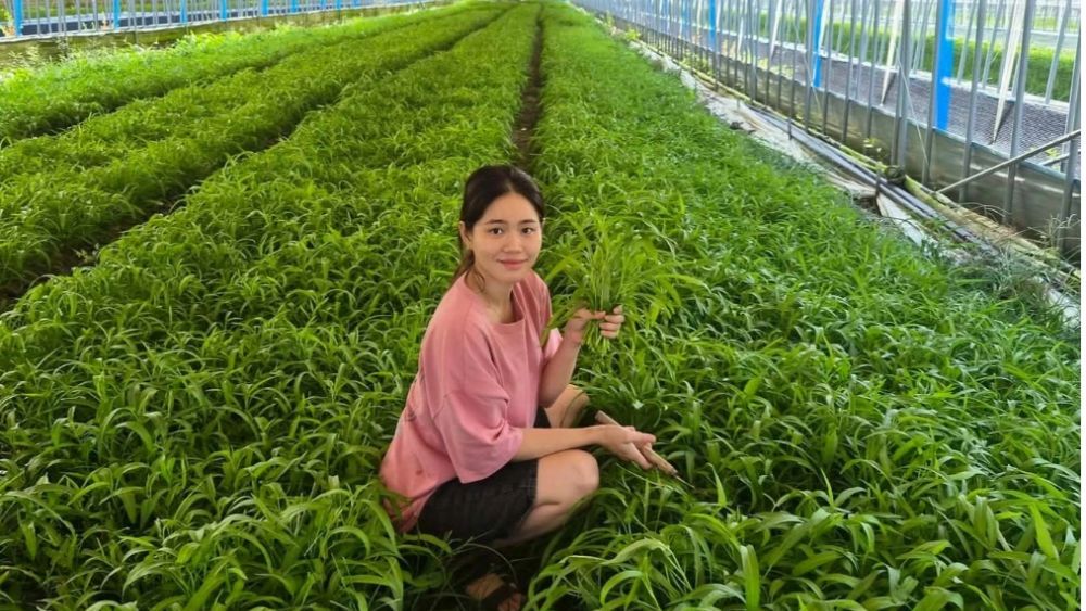 Cô gái Việt trồng rau muống tại Hàn Quốc thu nhập trăm triệu đồng/tháng, thu hút sự chú ý của truyền thông xứ kim chi. Khám phá ngay!